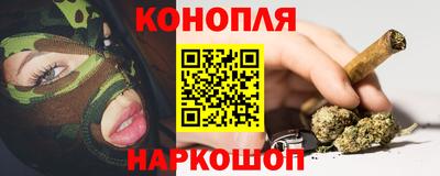сатива Будённовск