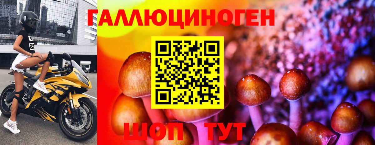 Псилоцибиновые грибы мицелий Новоалтайск